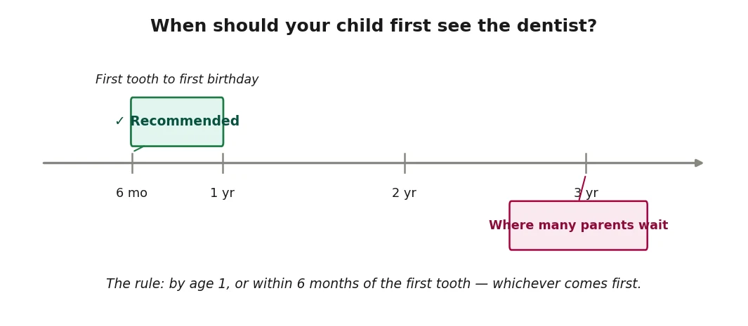 Timeline showing when a child should have their first dental visit — by age 1 or within six months of the first tooth appearing.