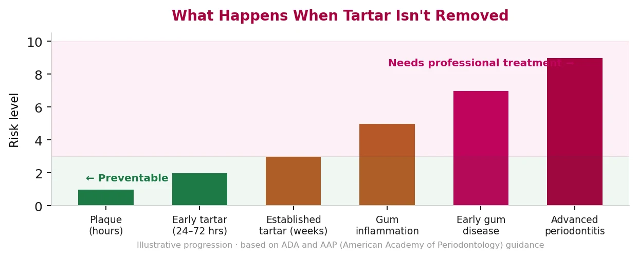 Timeline showing how plaque hardens into tartar within 24 to 72 hours if it is not brushed away.