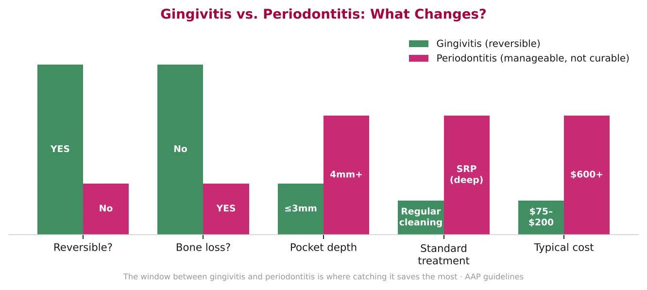 Grouped bar chart comparing gingivitis and periodontitis on reversibility, bone loss, pocket depth, standard treatment and typical cost.